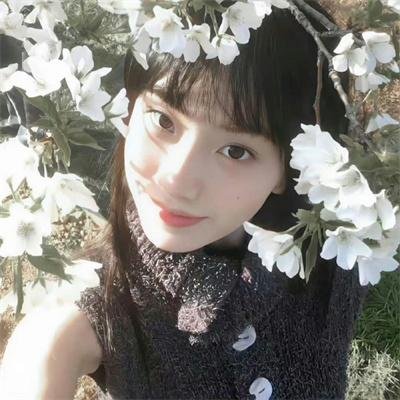 又见一帘幽梦